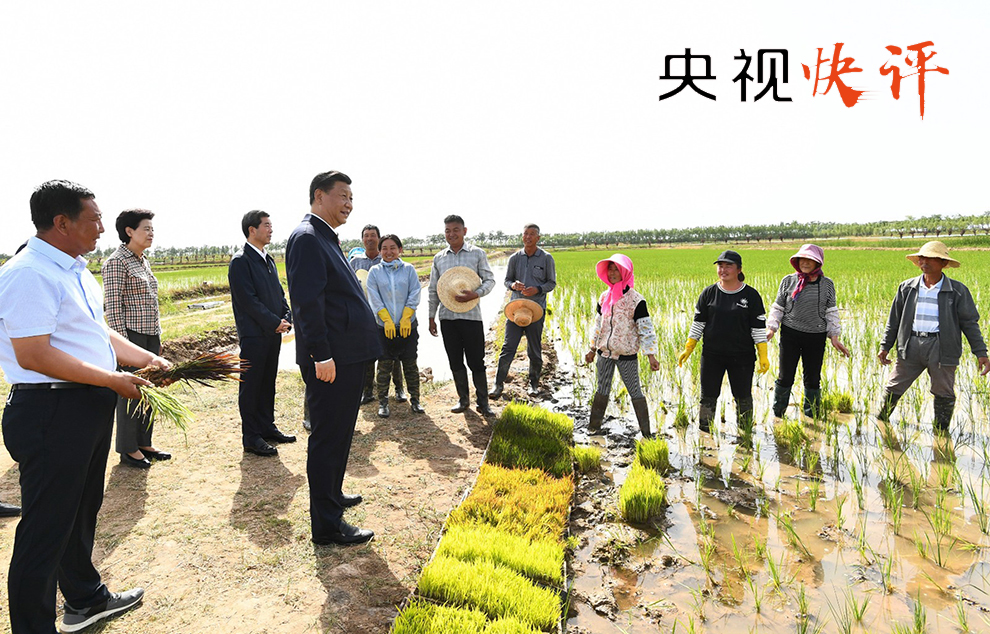 下坳村民委员会最新动态报道