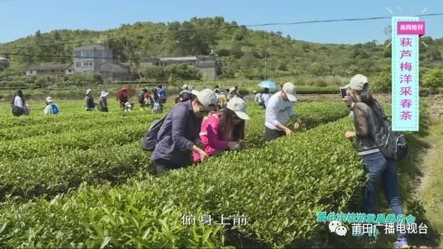 萩芦镇交通最新动态