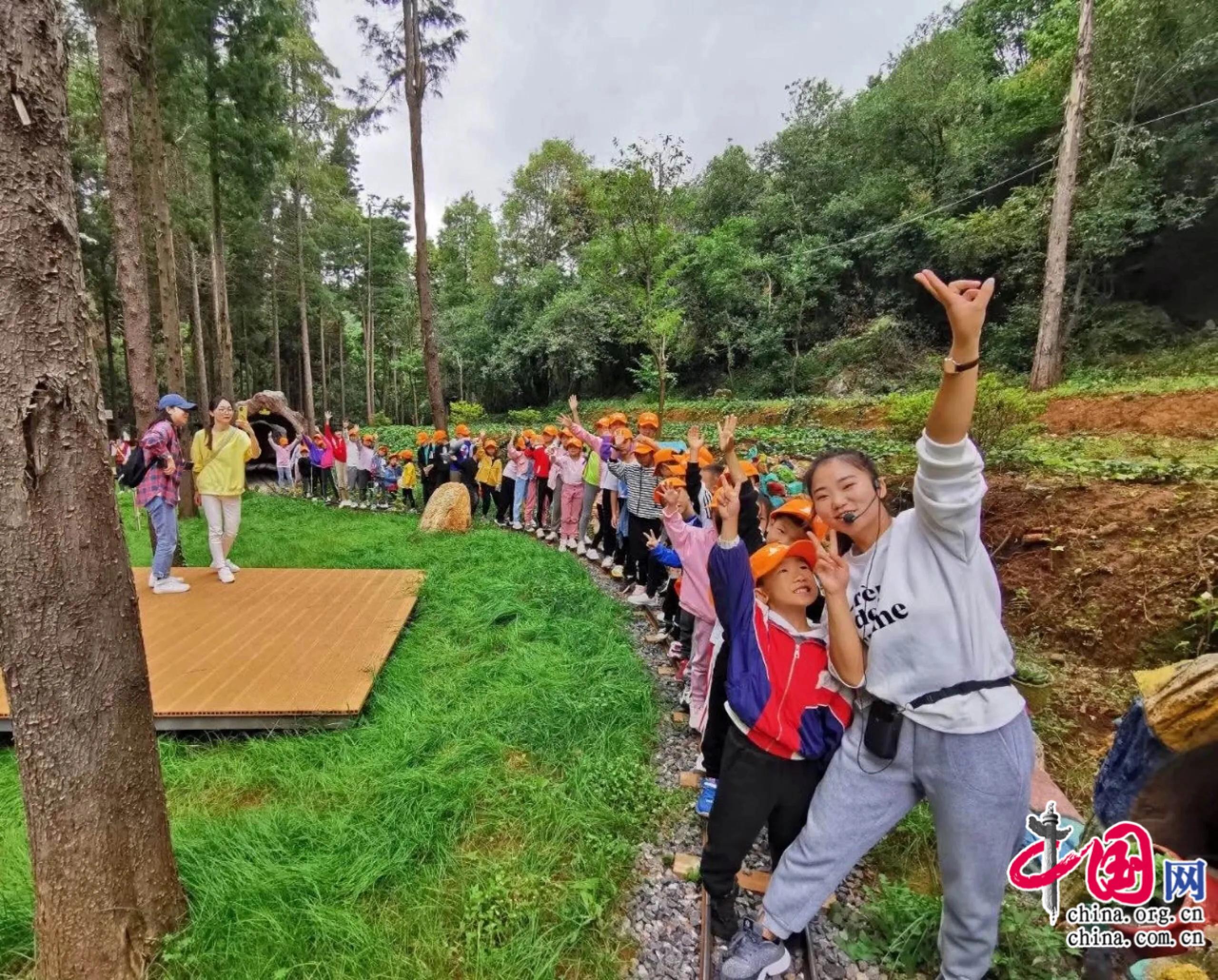 岩泉镇最新项目，引领地区发展的强大引擎