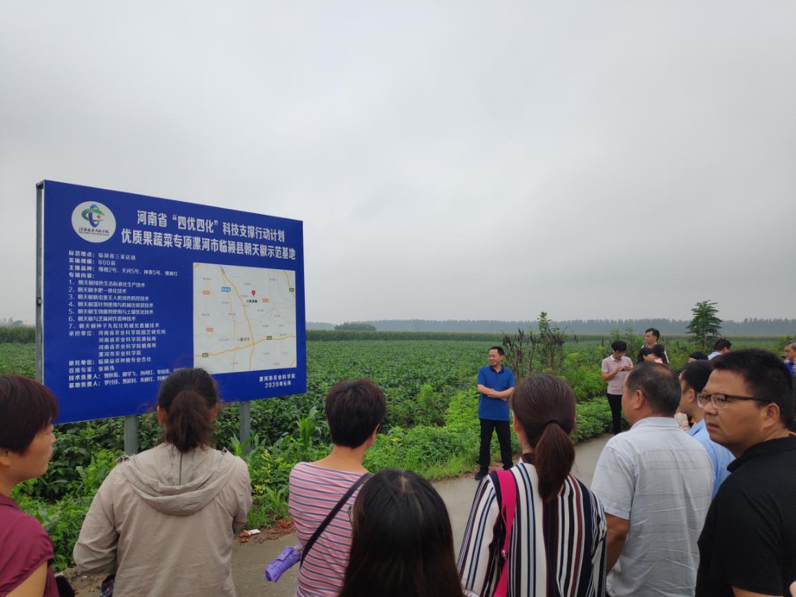 漯河市社会科学院领导团队引领创新，推动社会科学繁荣发展新篇章